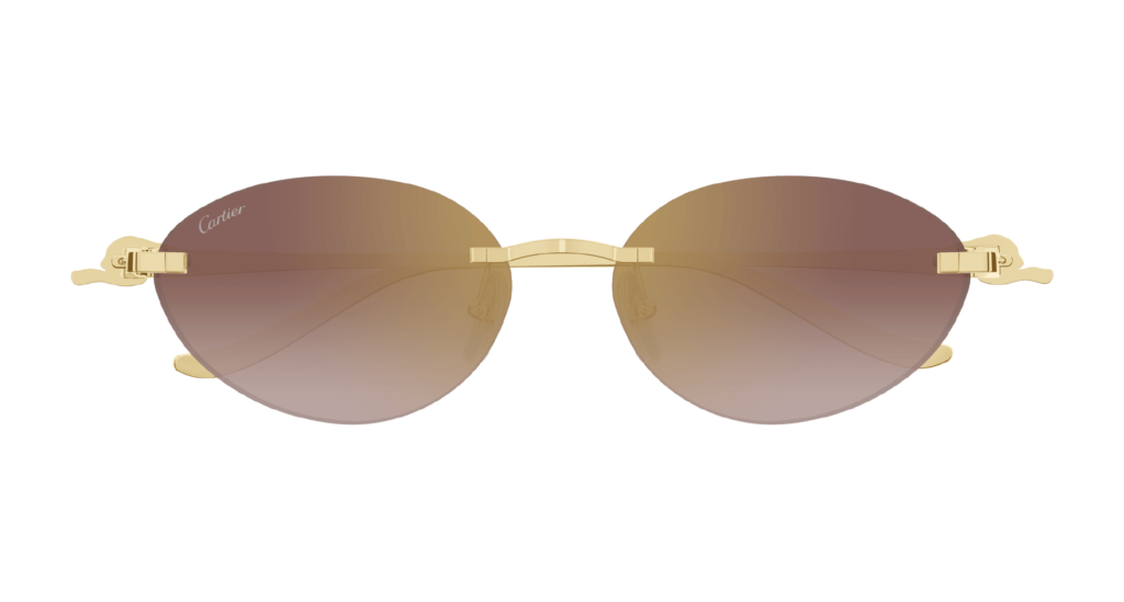 Cartier Prescription Glasses Repair Tips